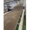EVA隔音片材擠出機(jī)_EVA汽車內(nèi)飾片材生產(chǎn)線