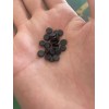 低煙無鹵造粒設(shè)備_JDL_低煙無鹵造粒設(shè)備